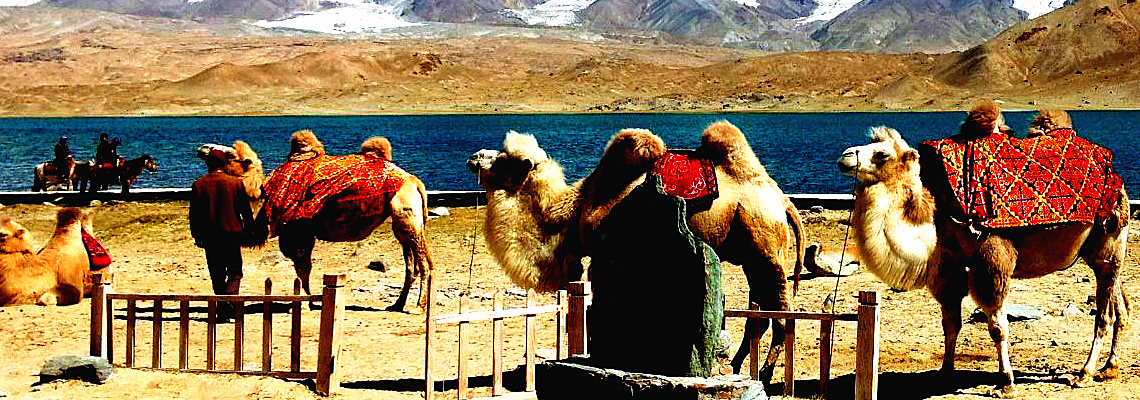 14 Days Silk Road Train Adventure