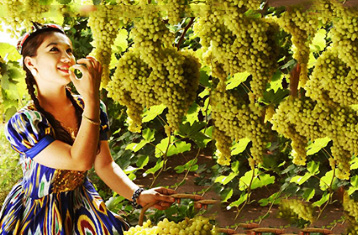 20 Days Culture Diversity of the Silk Road Tour