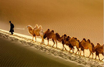 15 Day Silk Road in Depth Tour