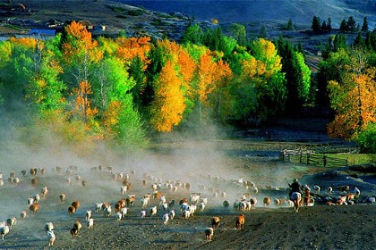 Kanas Nature Reserve